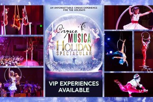 cirque_holiday_vip.jpg