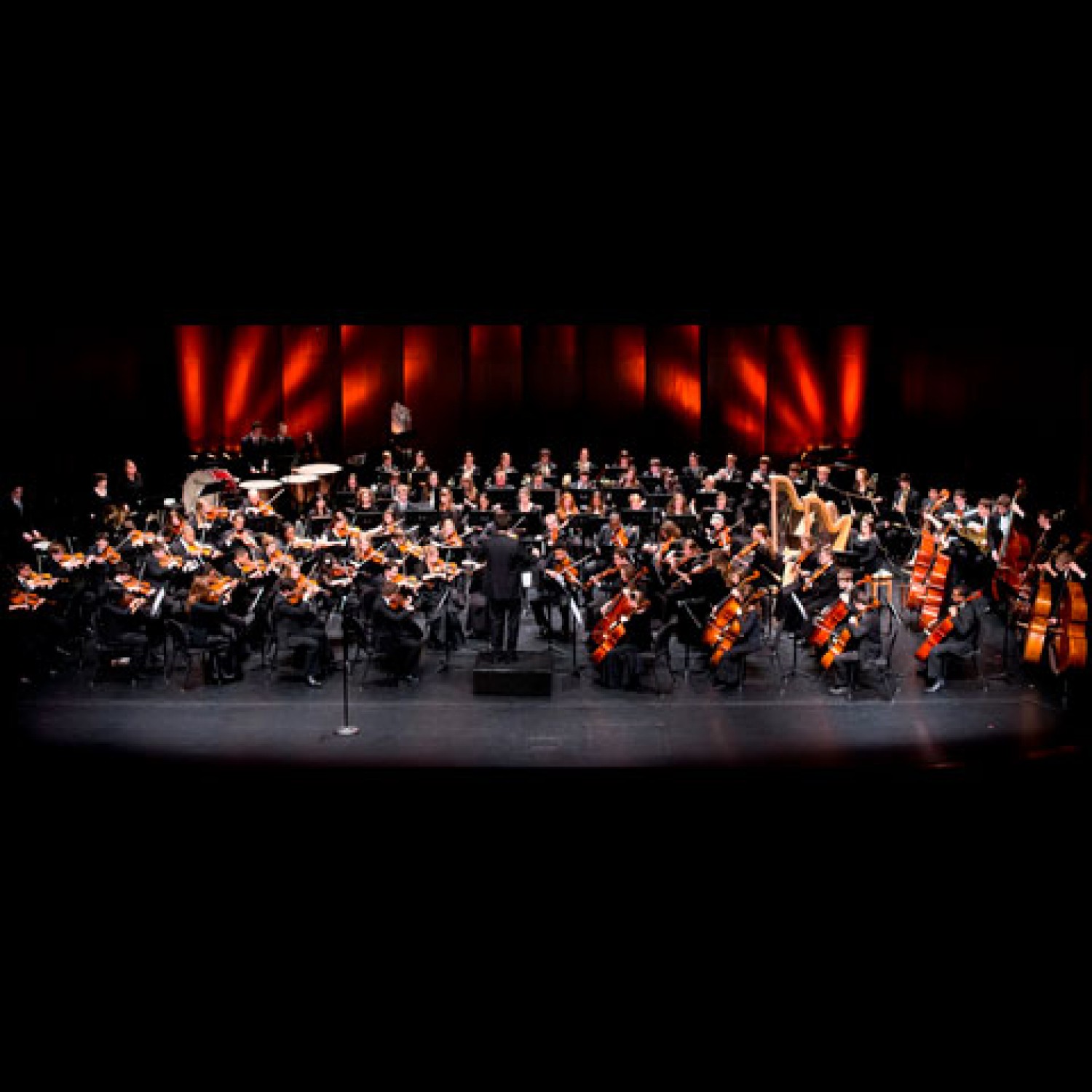 Dearborn Youth SymphonyWhat's on Dearborn Theater