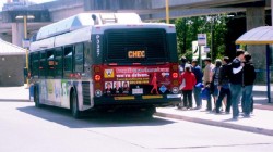 bus_1.jpg