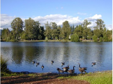 coquitlam_como-lake-2.jpg