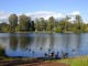 coquitlam_como-lake-2.jpg