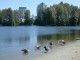 coquitlam_lafarge-lake-2.jpg