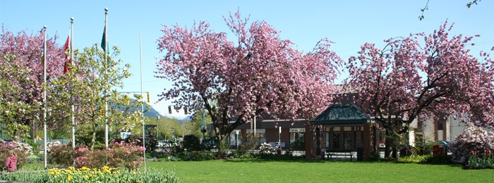 Header - Port Coquitlam