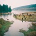 port-moody_boardwalk-in-winter.jpg