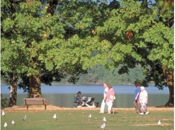 port-moody_rocky-point-park.jpg