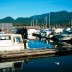 port-moody_reed-pt-marina.jpg