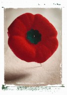 Poppy