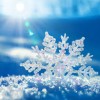 Snowflake