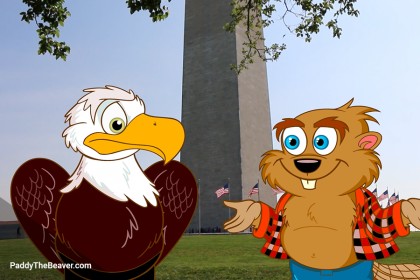paddy_10_potomac-gallery_900x600_09.jpg