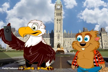 paddy_11_Ottawa-gallery_900x600_01.jpg
