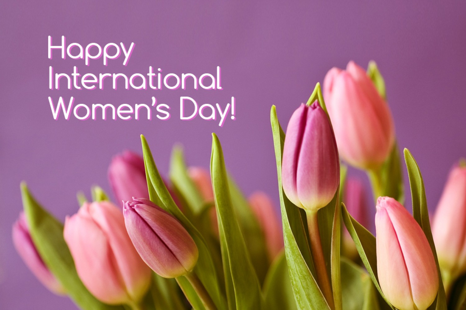 Happy Women's Day!News ItemKidoons