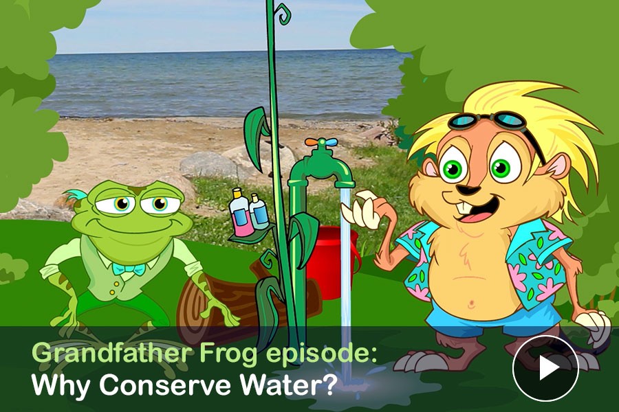 WATCH: Why Conserve Water? Grandfather Frog On Innisfil's Water Systems