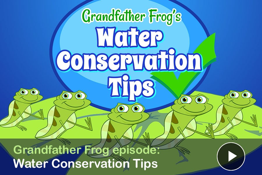 WATCH: Grandfather Frog's Water Conservation Tips