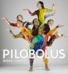 pilobolus.jpg