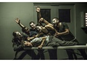 Betroffenheit_Kidd Pivot.jpg