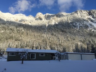 IMG_3623.jpg