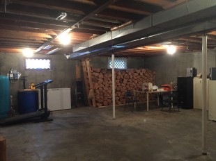 IMG_3733.jpg