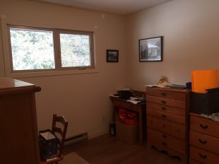 IMG_4229.jpg