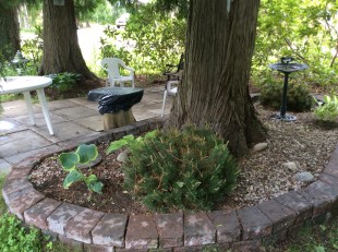 IMG_1065 2.jpg