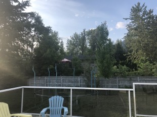 backyard 2.jpg