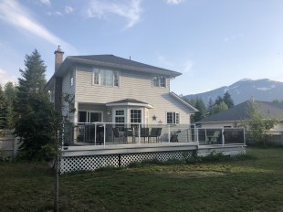 backyard 3.jpg