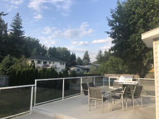 backyard 1.jpg