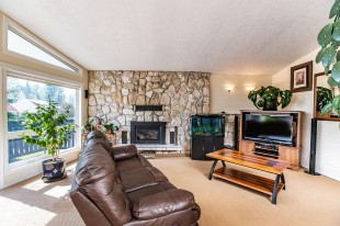 1590Mountainview-DSC03102.jpg
