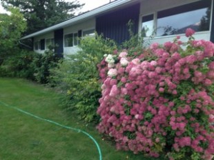 IMG_0075.jpeg