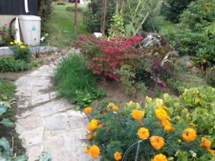 IMG_0076.jpeg