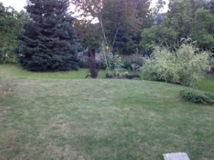 IMG_0078.jpeg