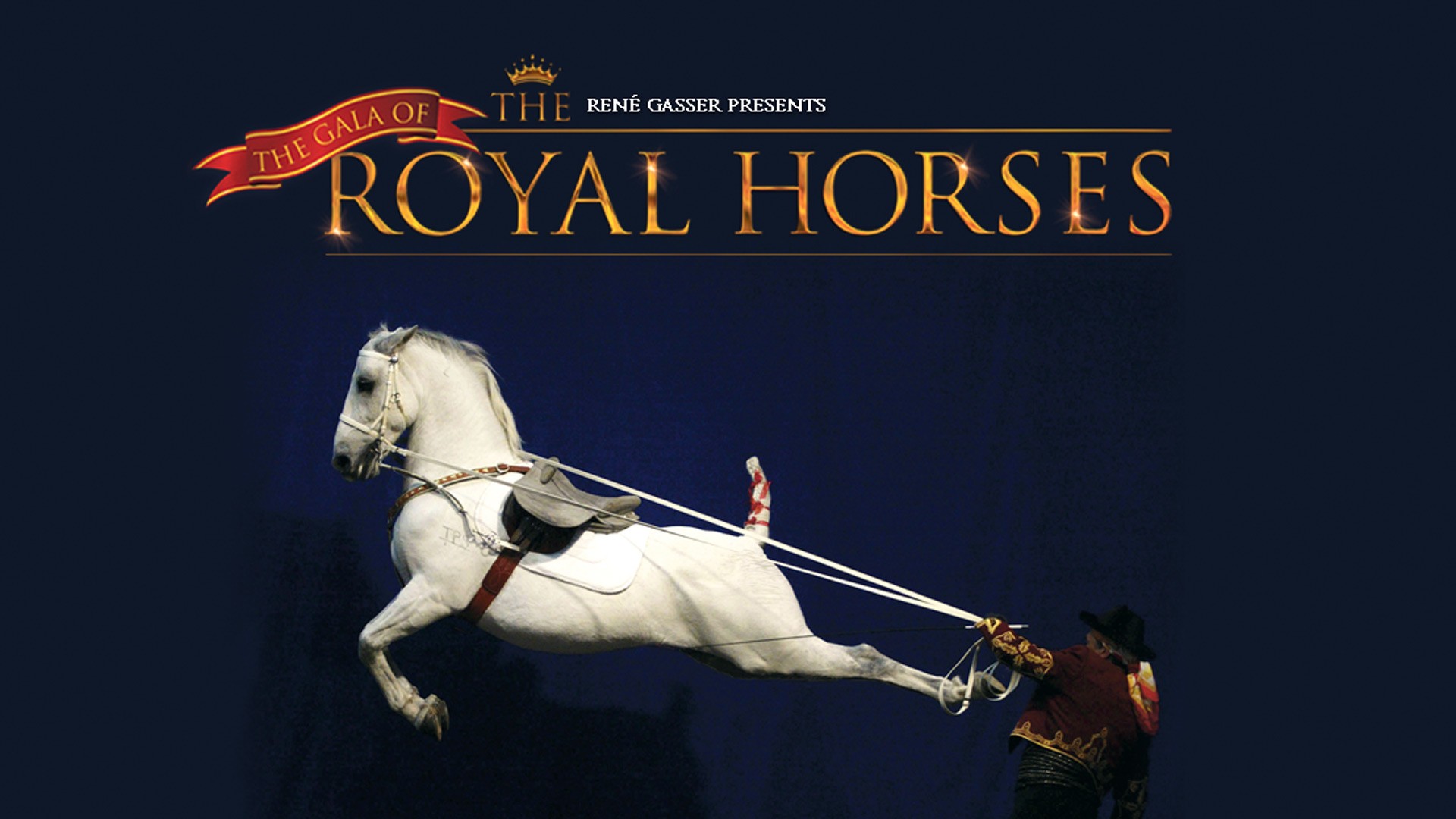 About The Gala of the Royal Horses