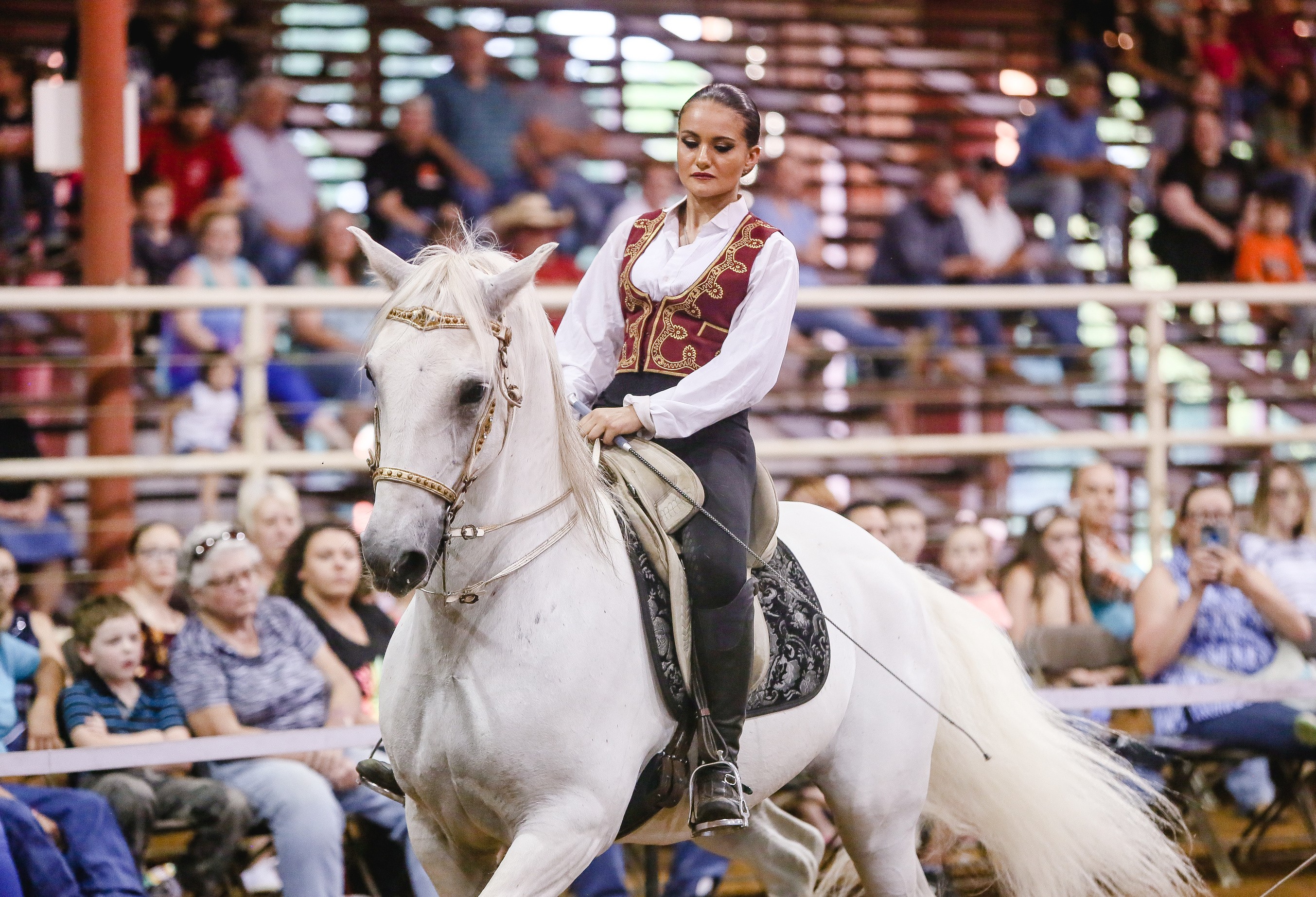 horse met gala outfit