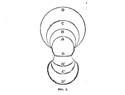 loop image.jpg