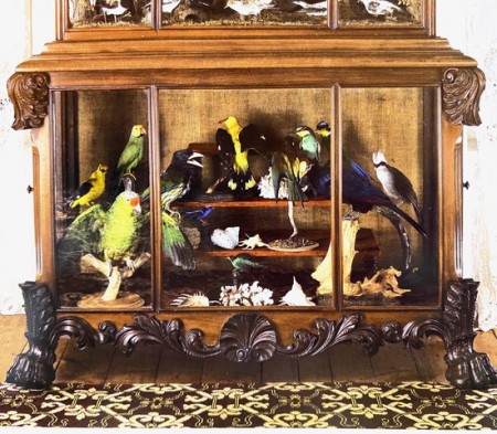 taxidermy cabinet.jpg
