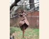 Fig Fairy