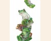 tn_DunnahoeHugh_Frogs.jpg