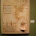 DSC08203.jpg