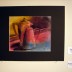 DSC08243.jpg