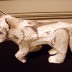 DSC08238.jpg