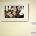 DSC08268.jpg