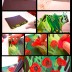 field-of-poppies.jpg