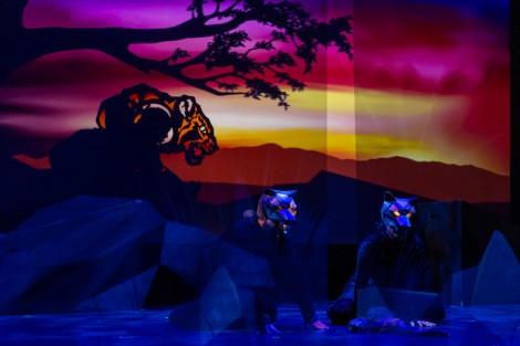 Photo credit: Ali Sultani, YPT