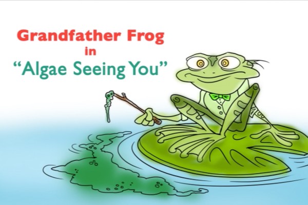 grand-algae.png