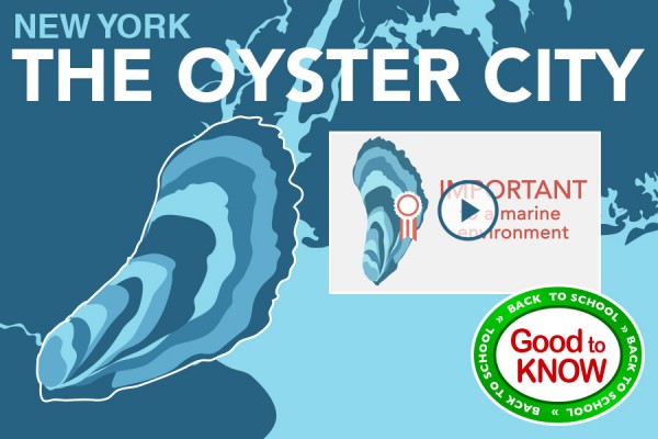 gtk-ny_oyster.jpg