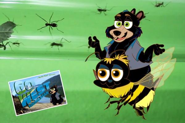 buste_bugzoo_900x600_05.jpg