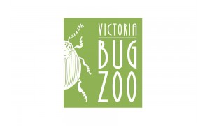 hero_victoria-bugzoo.jpg