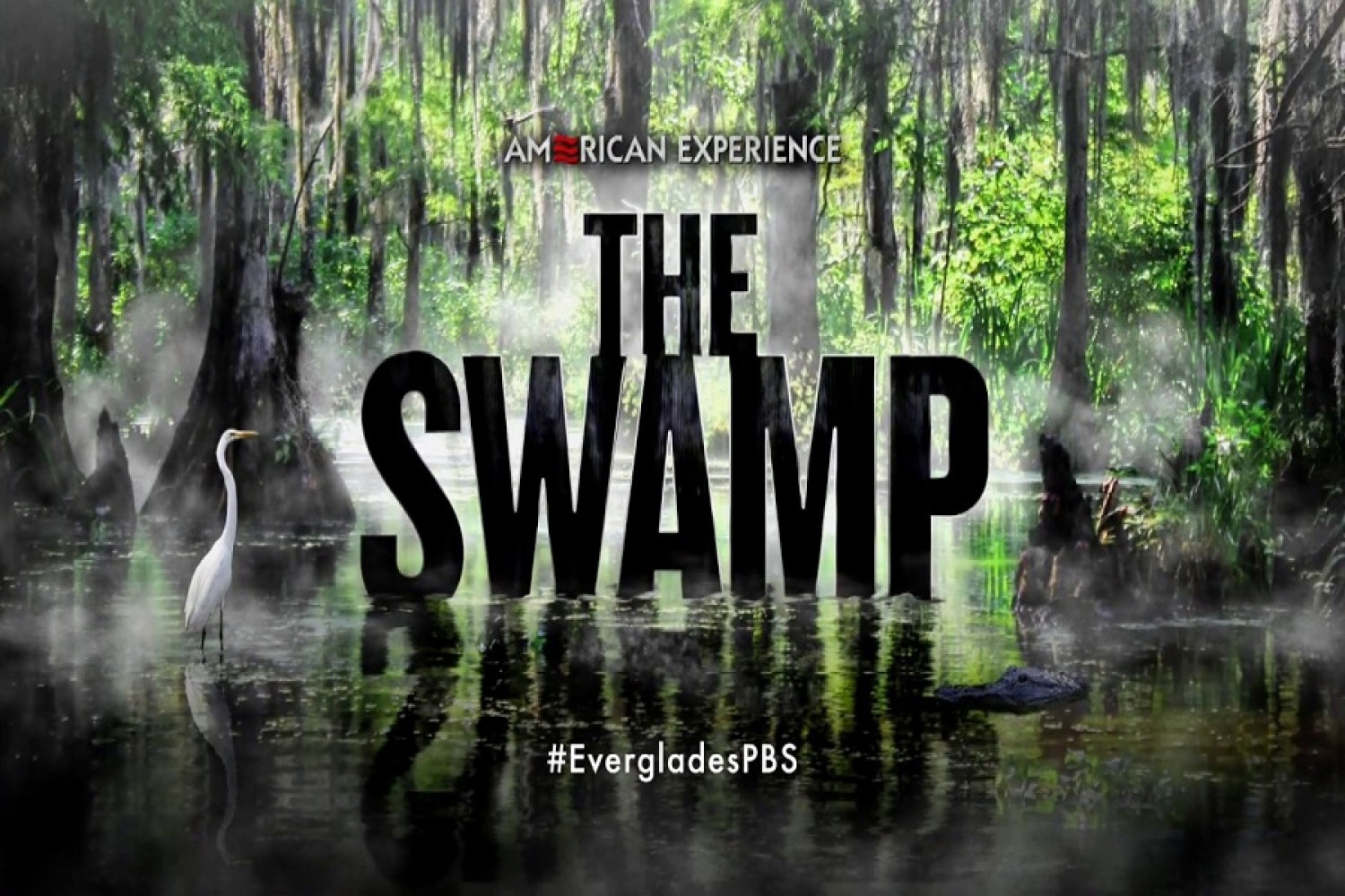 Svinde bort Tomhed Og hold The Swamp NATURE NEVER SURRENDERS|Show | The Lyric Theatre