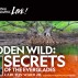 web 900 x 600 NatGeo Hidden Wild Secrets showblock.jpg