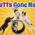 web-900-x-600-Mutts-Gone-Nuts-showblock.jpg
