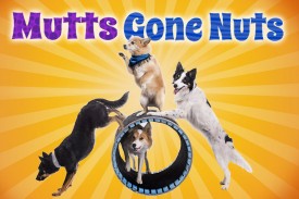 Upcoming Events | The Lyric Theatre